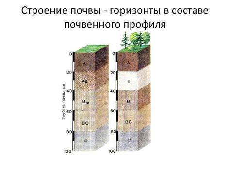 Геологические аспекты и компоненты почвенного состава