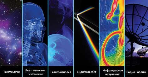 Глаза, воспринимающие инфракрасное излучение: таинственная особенность