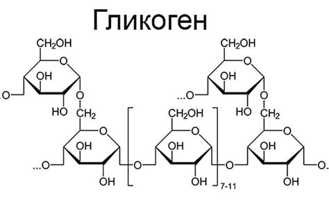 Гликоген и диета