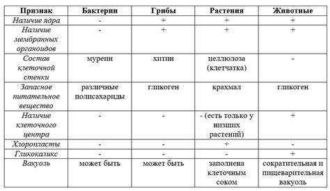 Глобал ром и глобал версия: в чем отличия, основные различия