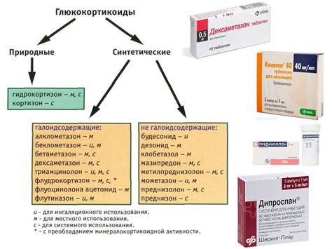 Глюкокортикостероиды: основные препараты и список их применения