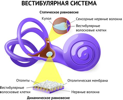 Головокружение - причины и симптомы