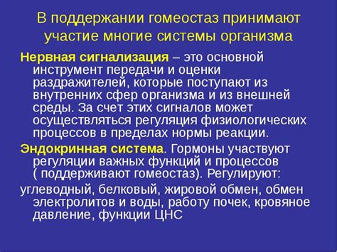 Гомеостаз: несменяемый пазл в поддержании баланса