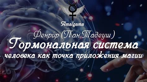 Гормональная система мужчины: основные компоненты и принципы управления