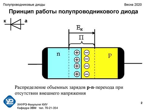 Действие полупроводниковых диодов