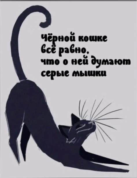 Держание пушистого всадника: глубинный смысл сновидения о кошке в объятиях