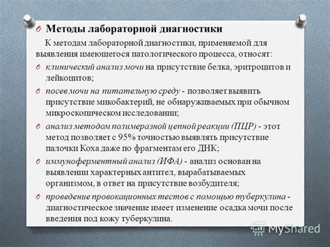 Диагностические методы, применяемые специалистами для выявления патологического выпячивания