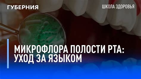 Домашние методы и рекомендации для смягчения неудобств при появлении высыпаний в полости рта