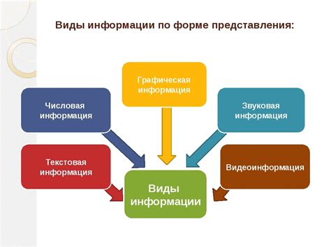 Дополнительная информация и справочники