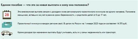 Дополнительные выплаты: учет отдельных источников дохода при расчете семейного пособия