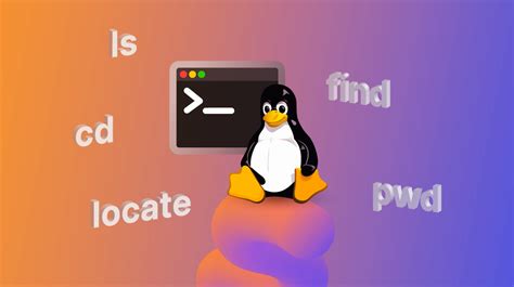 Дополнительные команды для работы с директориями и файлами в Linux