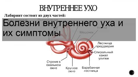 Заболевания внутреннего уха и головокружение