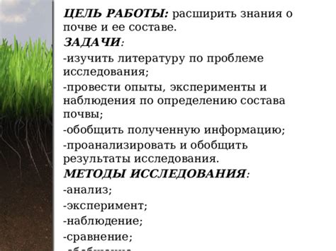 Заботимся о составе почвы: выбор подложки и ее структура