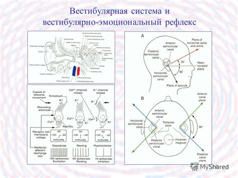 Зависимость снов от психоэмоционального состояния человека