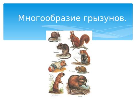 Загадочность и символическое значение множества грызунов в сонных пророчествах