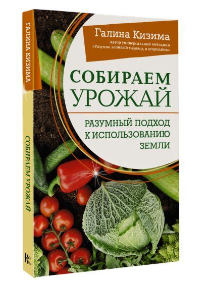 Загадывая будущее: творческий подход к использованию магической игрушки