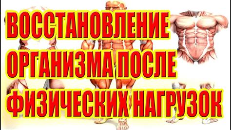 Заголовок 2: Восстановление сил организма с помощью питательных ресурсов