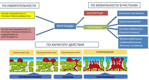 Защита растений от вредных насекомых и патогенов