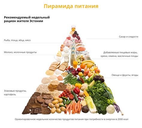 Здоровое питание: выбор правильных продуктов