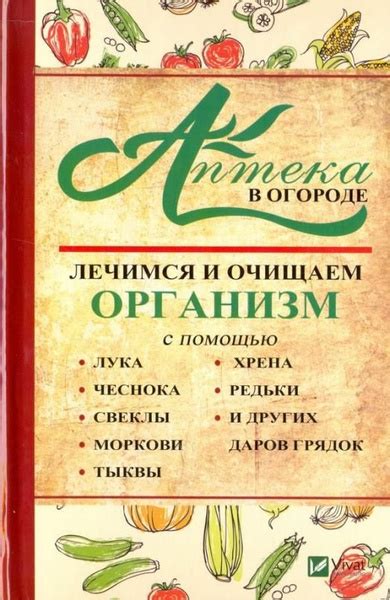 Здоровье через натуральные продукты: благотворное действие лука и чеснока на организм