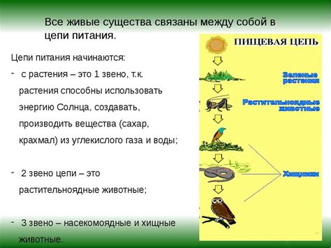 Значение Гольфстрима для экосистемы