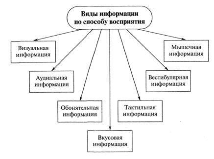 Значение активного восприятия информации в диалоге