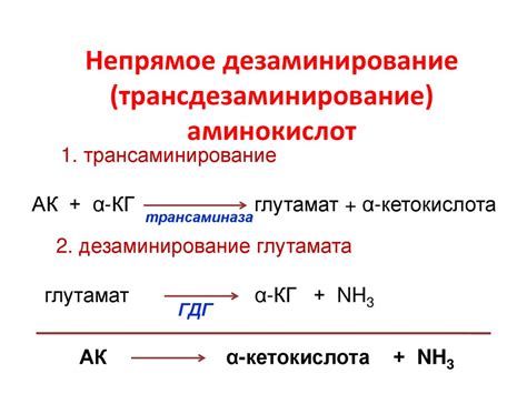 Значение глутаминовой кислоты для организма ребенка