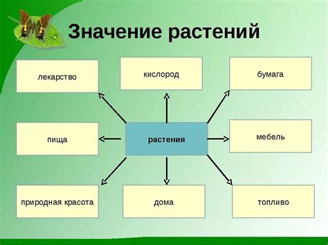 Значение и функциональность многоцветных растений в игровой вселенной