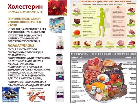 Значение рациона и питания при повышенном уровне содержания железа в крови