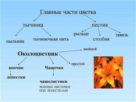 Значение OpenIV и его главные возможности