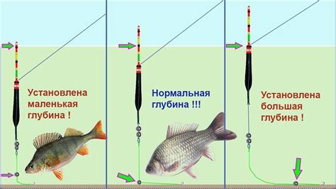 Значимость корректной установки поплавка на удочке