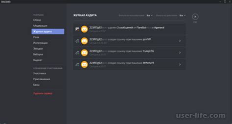 Значимость чистоты журнала аудита на платформе Discord