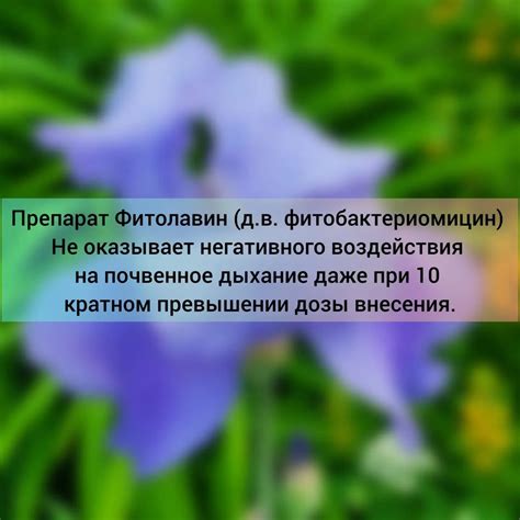 Значительные факторы: как избежать негативного воздействия на кожу при очищении загара