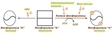 Игровой механизм активации лун