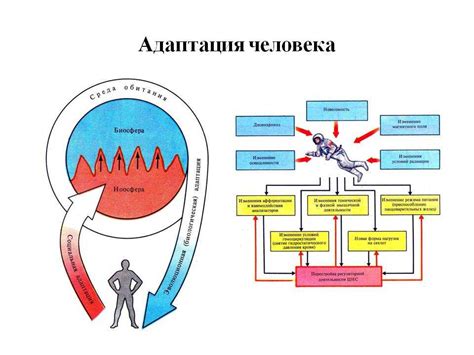 Идеальные продукты для адаптации к разным климатическим условиям