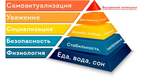 Идентификация основных потребностей тамагочи