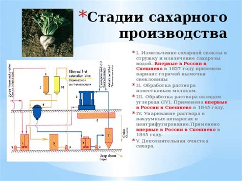 Измельчение и ситовая очистка мякоти