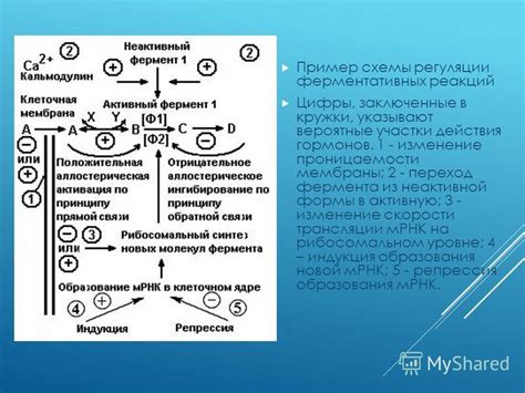 Изменение клетки в активную гиперссылку