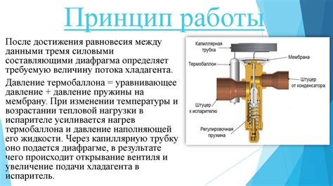 Изучение принципа работы электрического коммутационного устройства