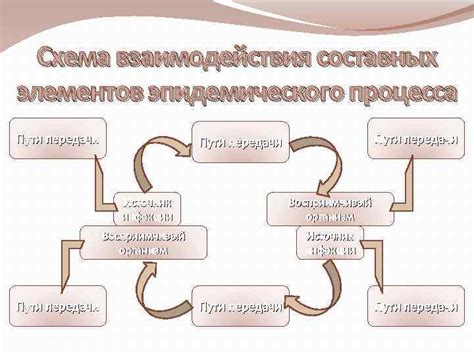 Изучение составных элементов операционного процесса