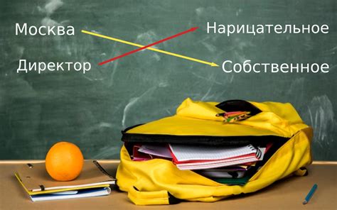 Имена существительные: определение и примеры