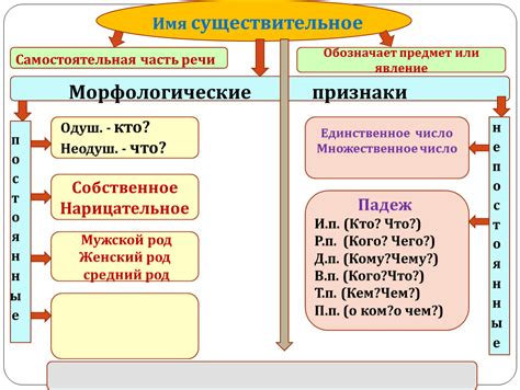 Имя существительное: основной элемент языка, мощный инструмент передачи смысла