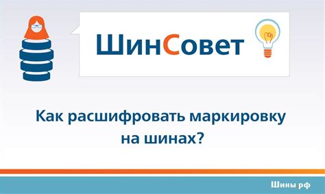 Индивидуальные предпочтения: почему они важны при выборе структуры и названия папок