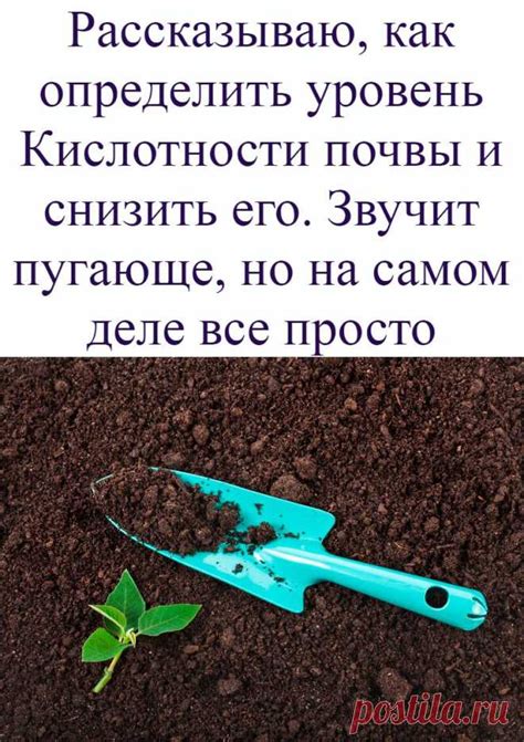 Инжир - естественный способ снизить уровень кислотности