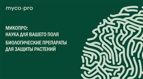 Инновационный подход Гленфиддик