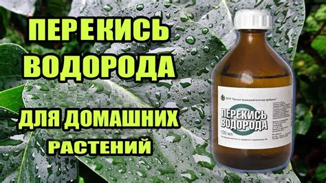 Инструкция по применению пероксида водорода для очищения слуховых проходов