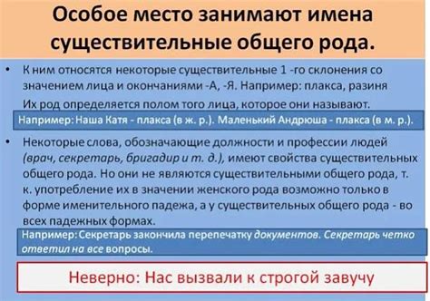 Инструмент создания универсальных понятий и обобщений: роль общего рода в русском языке