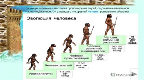 Интеллектуальные способности: эволюция от первобытных людей к современному обществу