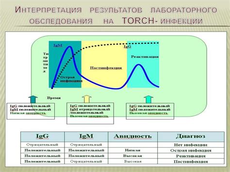 Интерпретация и диагноз результатов обследования гинекологического региона