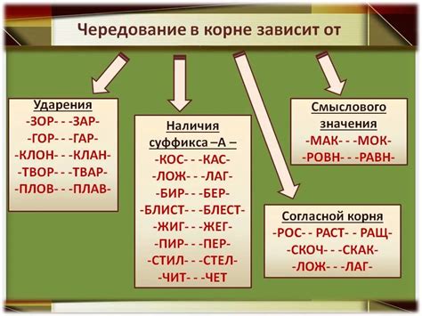 Исключения в правописании буквы "а"